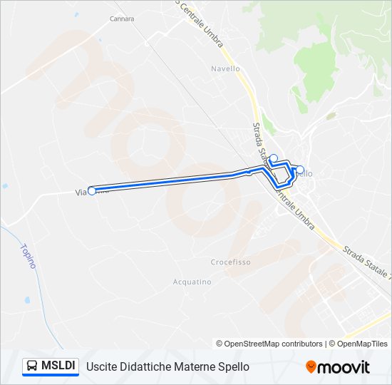 MSLDI bus Line Map