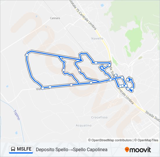 MSLFE Bus Line Map