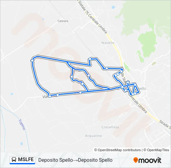Percorso linea bus MSLFE