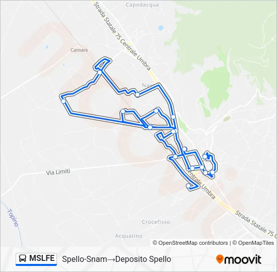 MSLFE Bus Line Map