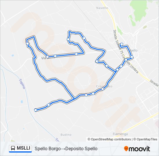 MSLLI bus Line Map