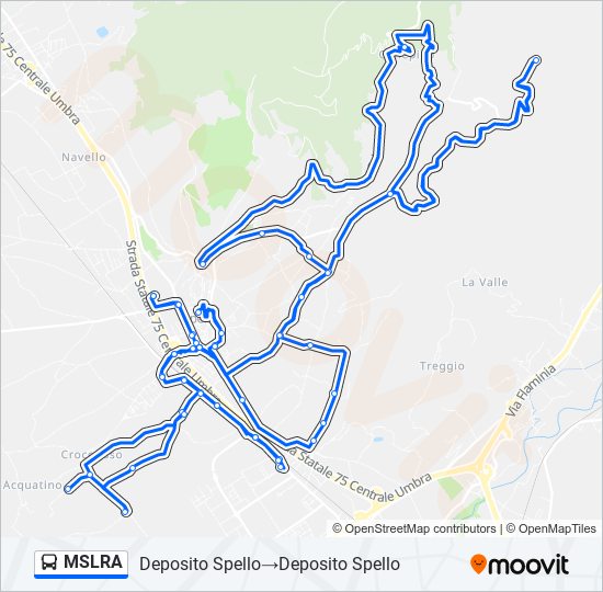 MSLRA bus Line Map