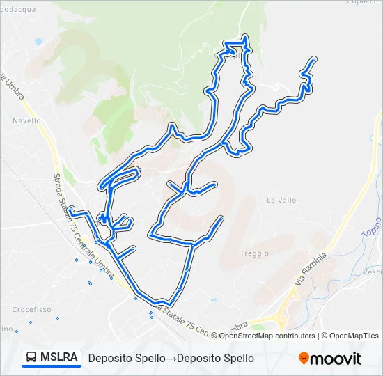 MSLRA Bus Line Map