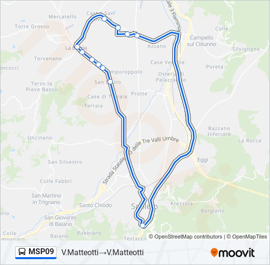 MSP09 bus Line Map