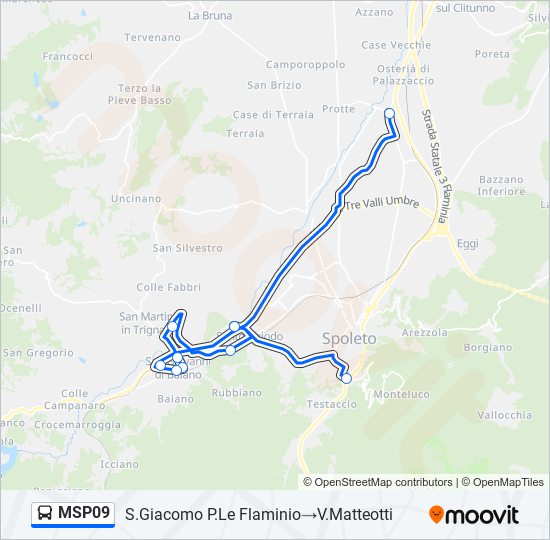 MSP09 bus Line Map