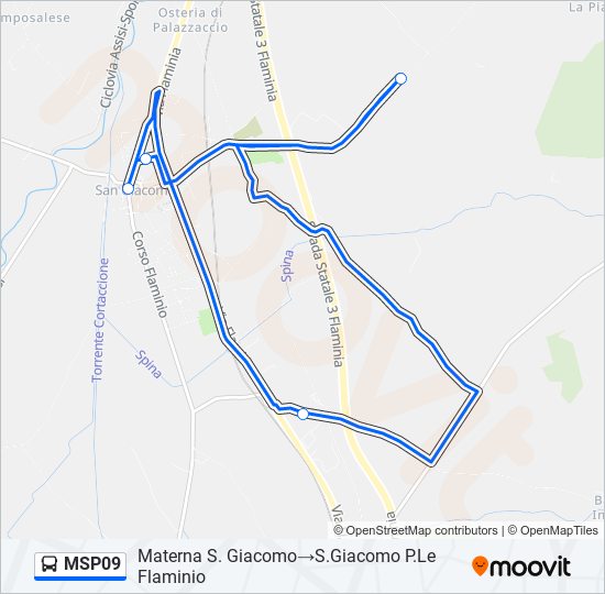 MSP09 bus Line Map