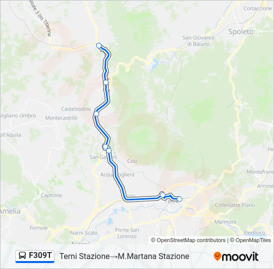 F309T Bus Line Map