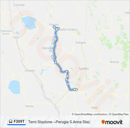 F309T Bus Line Map