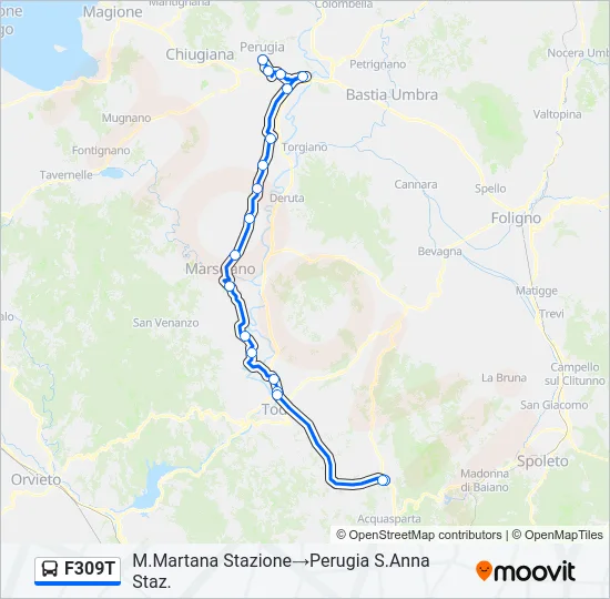 F309T Bus Line Map