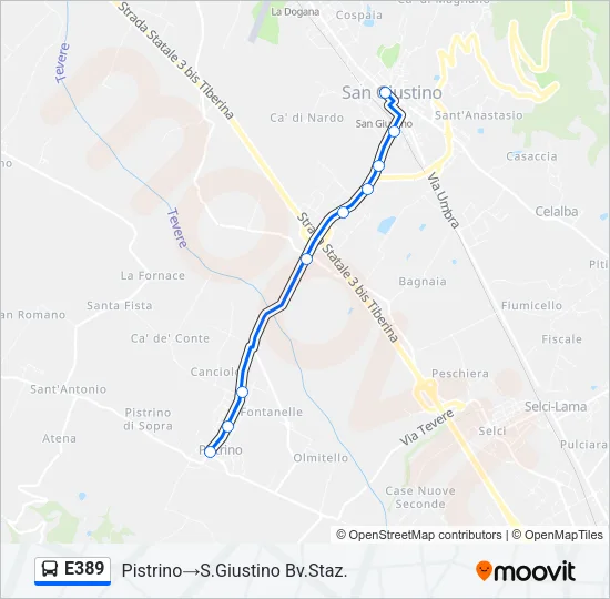 E389 Bus Line Map