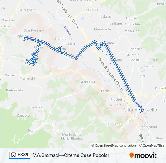 E389 Bus Line Map