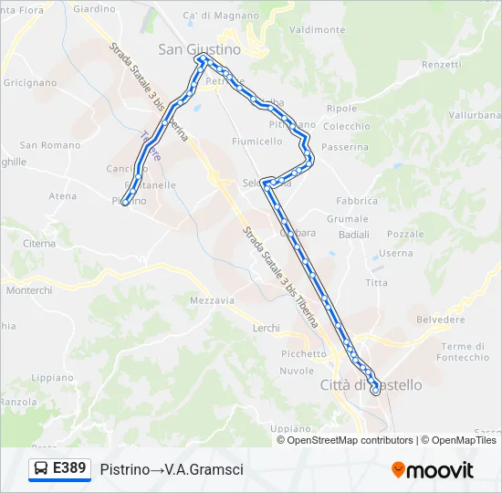 E389 Bus Line Map