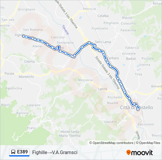 E389 Bus Line Map