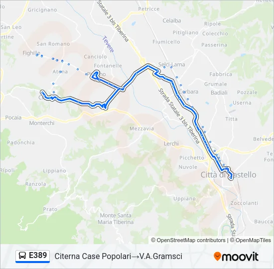 E389 Bus Line Map