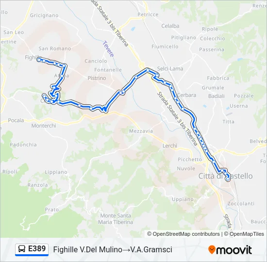 E389 Bus Line Map