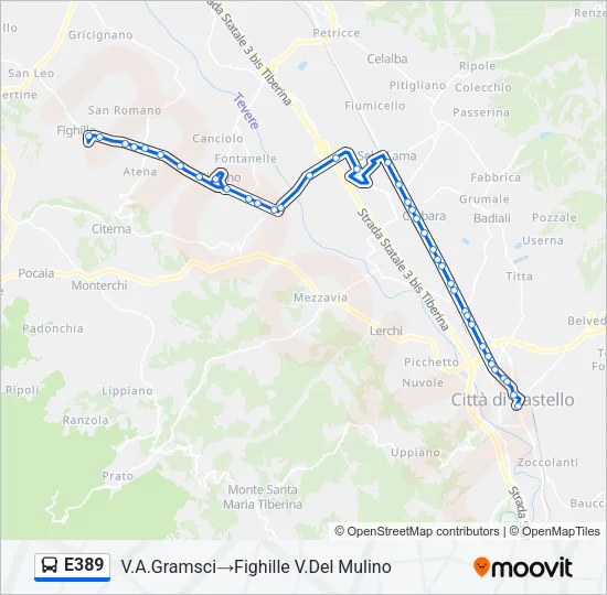 E389 Bus Line Map