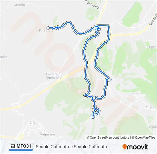 MFO31 Bus Line Map