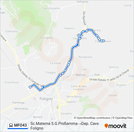 MFO43 Bus Line Map