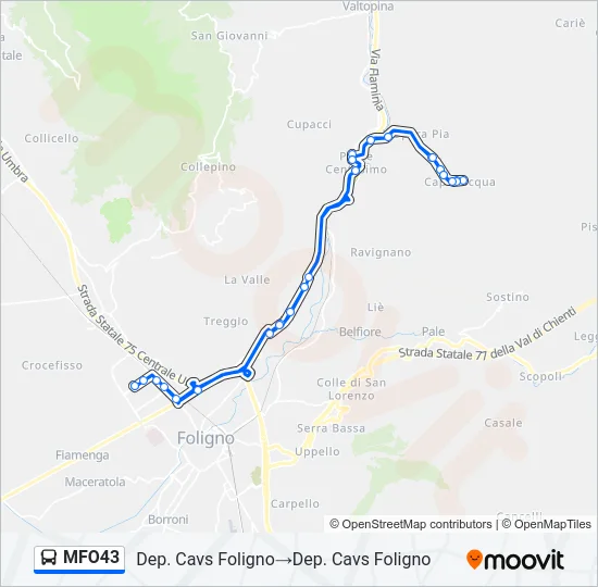 MFO43 Bus Line Map