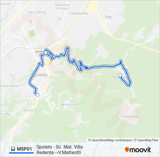 MSP01 Bus Line Map