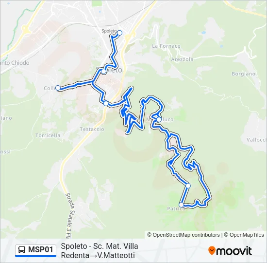 MSP01 Bus Line Map