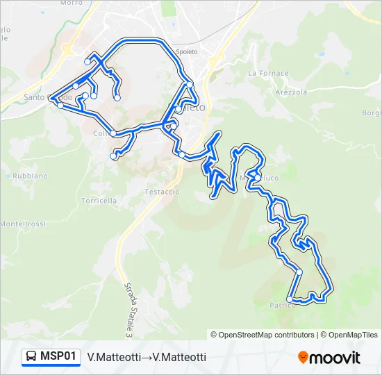 MSP01 Bus Line Map