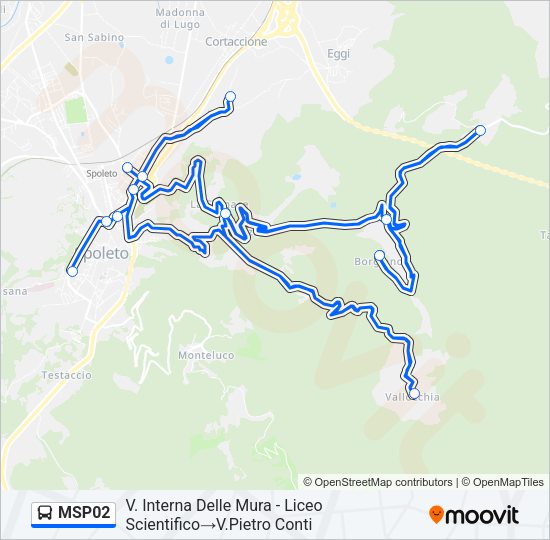 MSP02 Bus Line Map