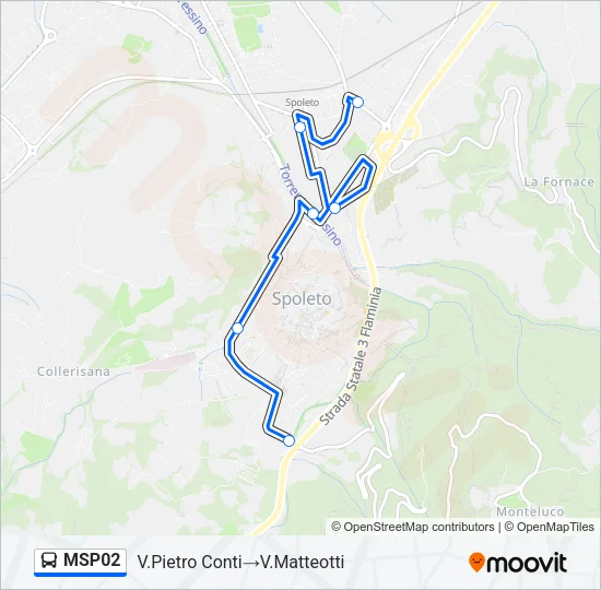 MSP02 Bus Line Map
