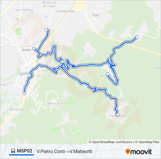 MSP02 Bus Line Map