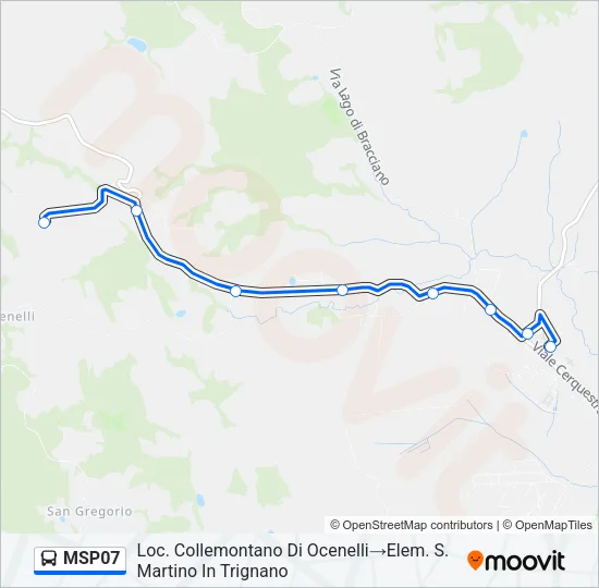 MSP07 Bus Line Map