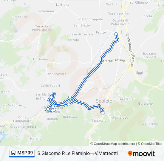 MSP09 Bus Line Map