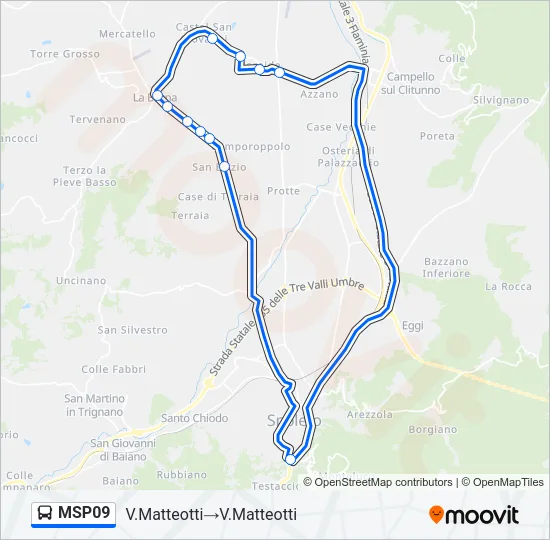 MSP09 Bus Line Map