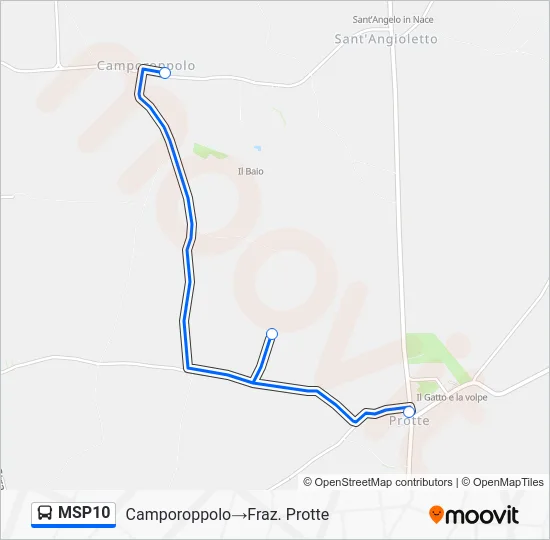 MSP10 Bus Line Map