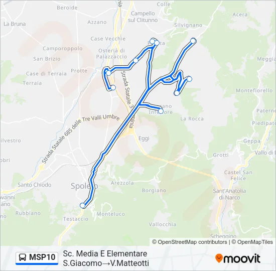 MSP10 Bus Line Map