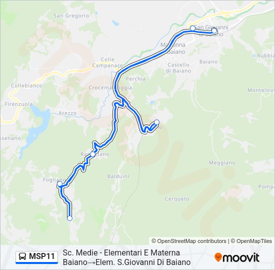 MSP11 Bus Line Map