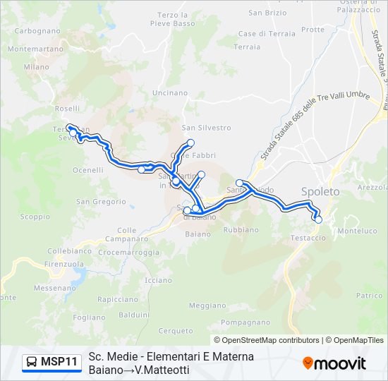 MSP11 Bus Line Map