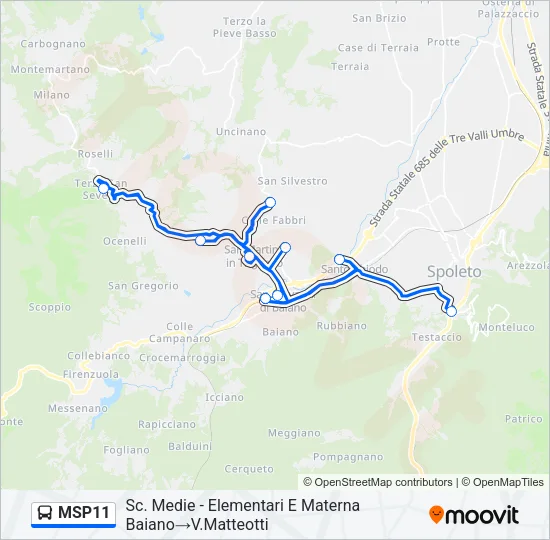 MSP11 Bus Line Map