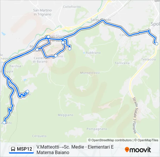 MSP12 Bus Line Map