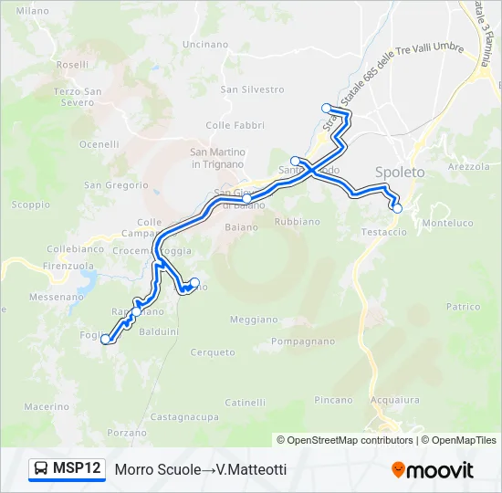 MSP12 Bus Line Map