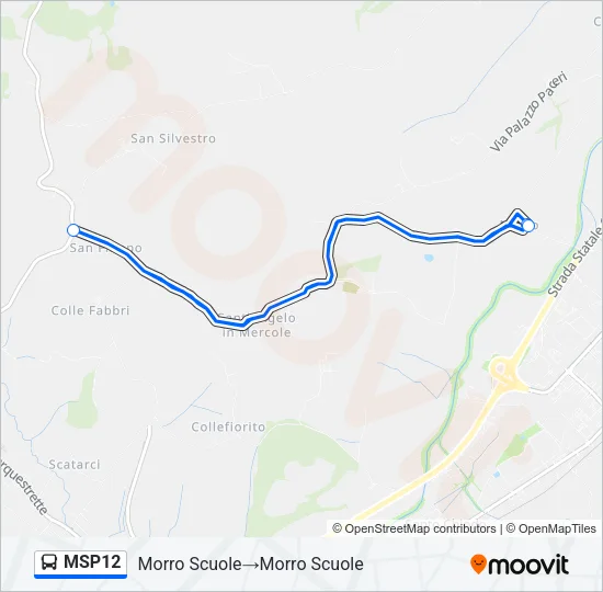 MSP12 Bus Line Map