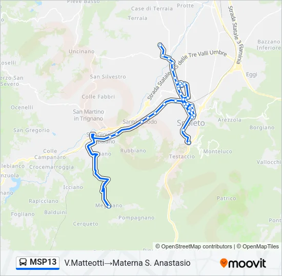 MSP13 Bus Line Map