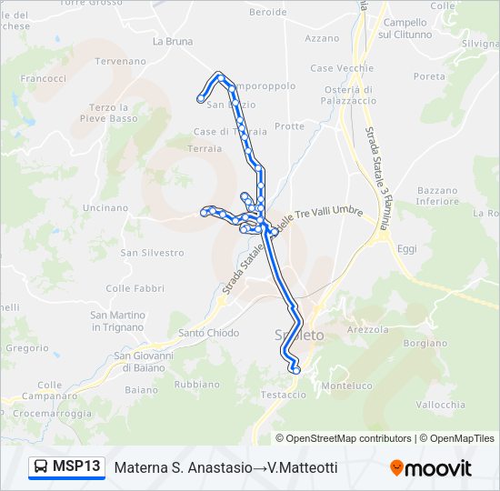 MSP13 Bus Line Map