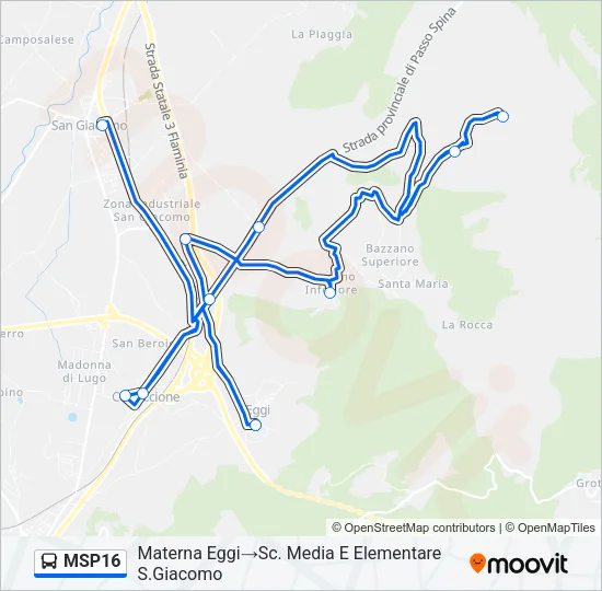 MSP16 Bus Line Map