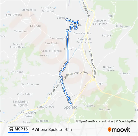 MSP16 Bus Line Map