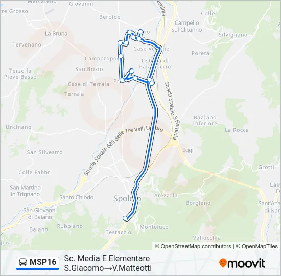 MSP16 Bus Line Map