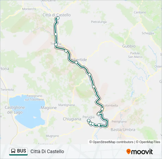 BUS Line Map
