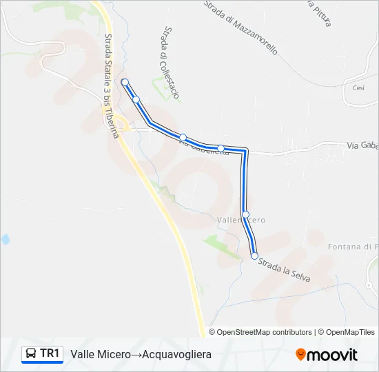TR1 Bus Line Map