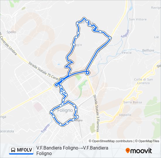 Percorso linea bus MFOLV