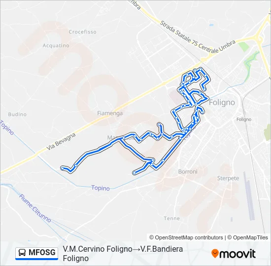 MFOSG Bus Line Map