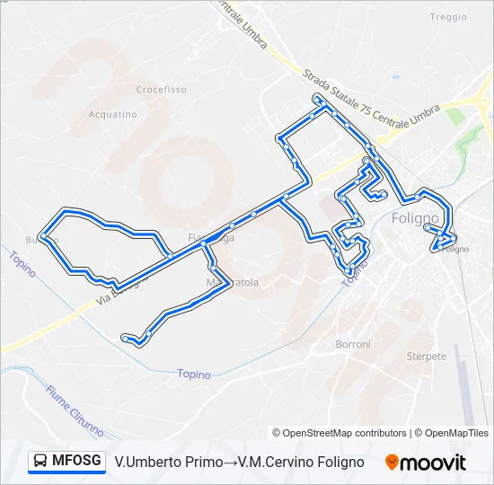 MFOSG Bus Line Map